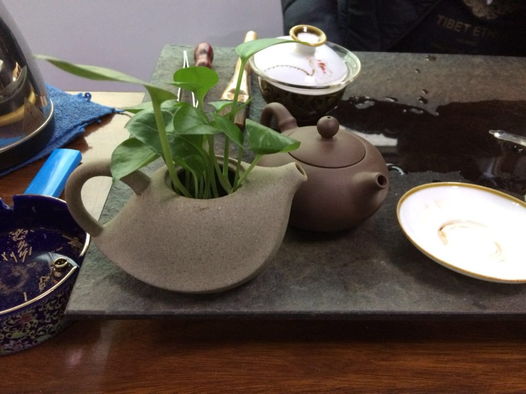中国茶の茶器と観葉植物