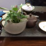 中国茶の茶器と観葉植物